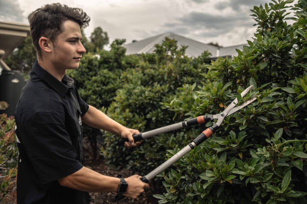 Pruning Goolwa, Victor Harbor, Port Elliot, Middleton and Fleurieu Peninsula